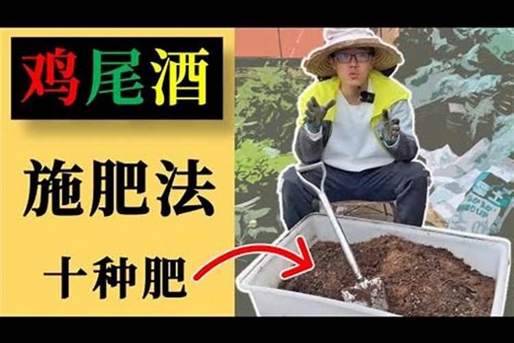 台湾木瓜幼苗用什么肥料