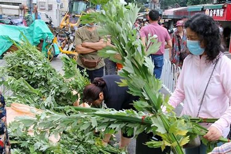 艾草水浇花好不好,用艾叶水浇花营养与好处