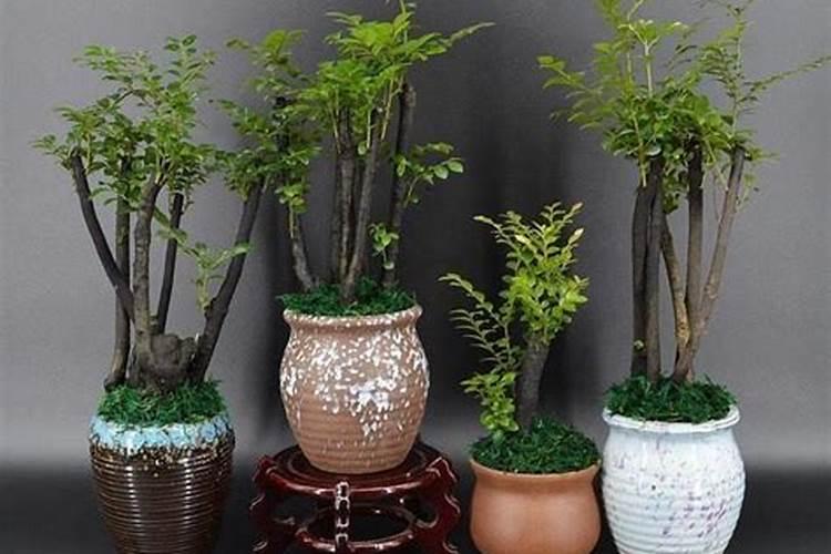 液体有机肥的制作方法