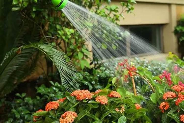 大元素水溶肥料配方大全