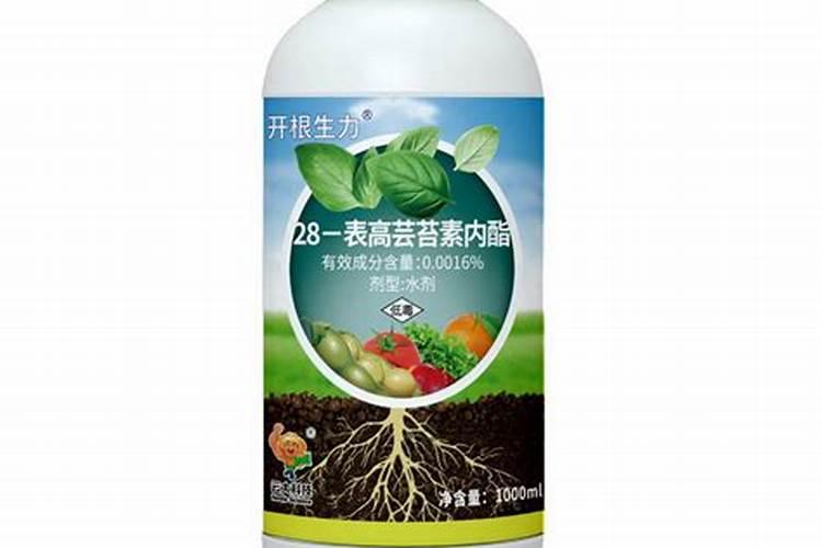 小麦施肥的几个技巧