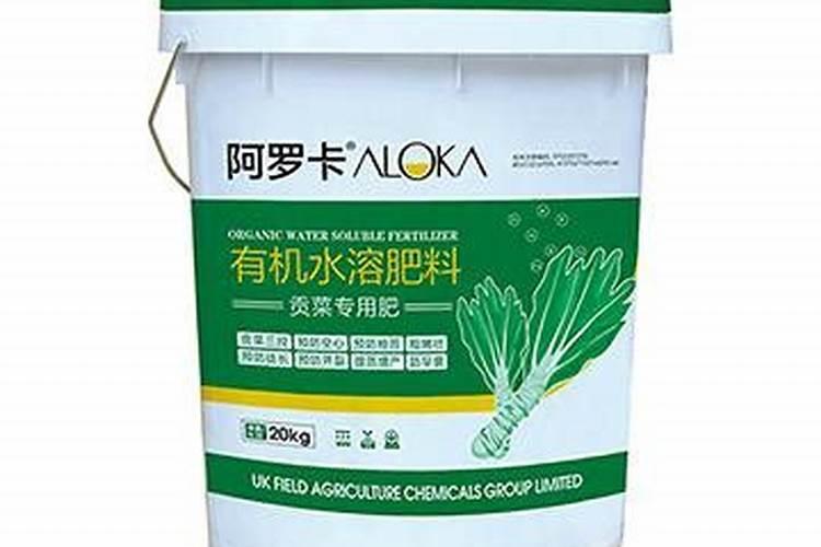 贡菜是怎么种植的