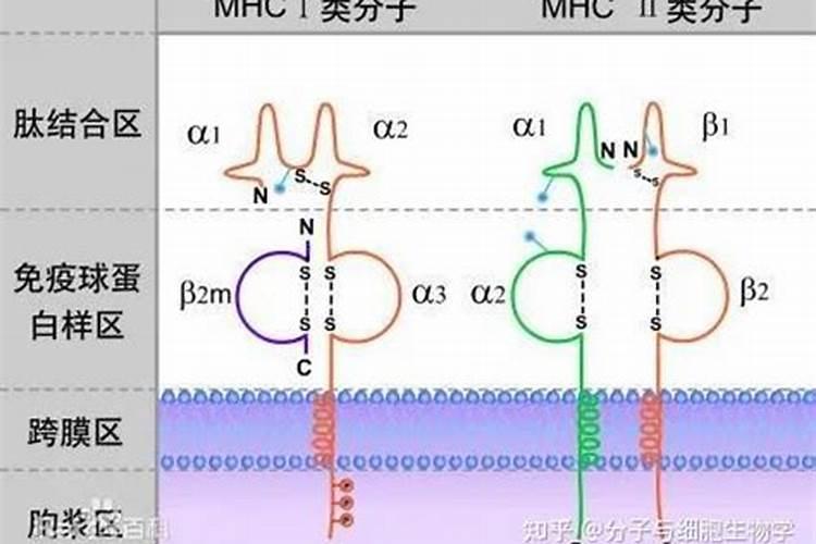 菜浇了尿素隔多少天才能吃尿素什么菜都可以浇吗