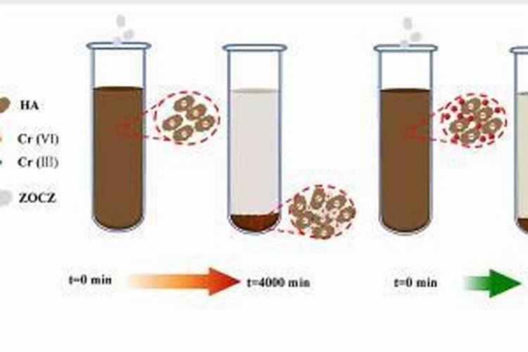 芹菜移栽后多少天可以施肥
