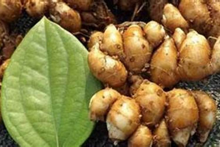 大姜使用的肥料有哪些？应该如何科学给大姜施肥？