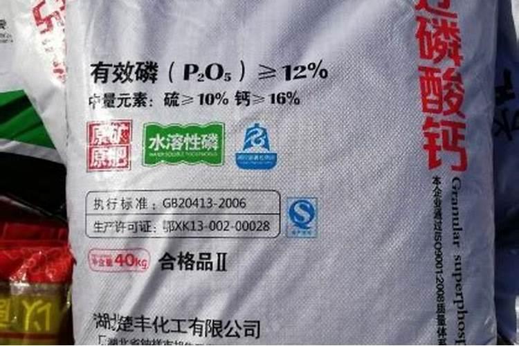 木耳菜种植注意什么事项