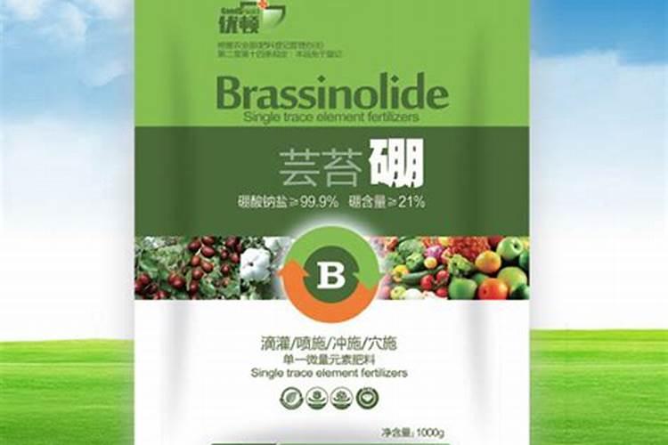 保花保果叶面肥最佳配方