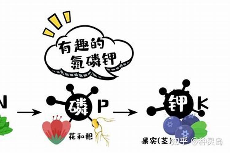 化肥多少钱1吨