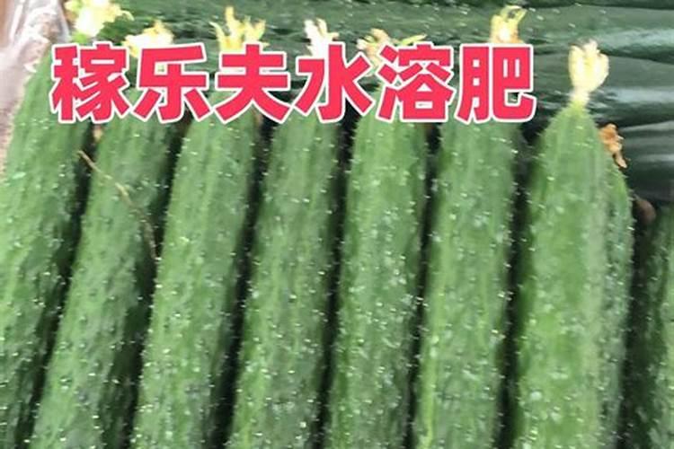 稻田里早上可以打钾肥吗？