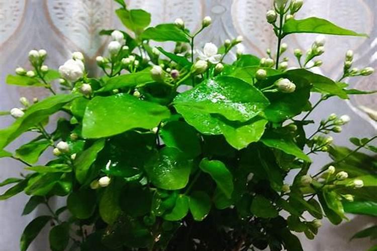 硫酸钾复合肥长时间存放会失效吗？