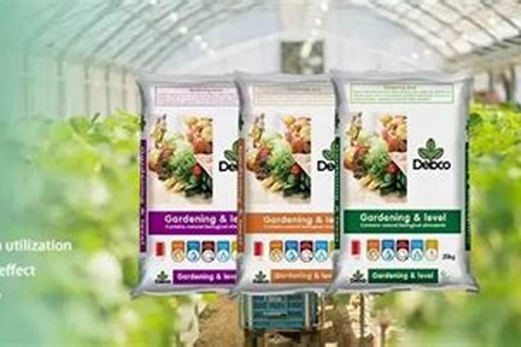 水稻什么时候施硼肥？