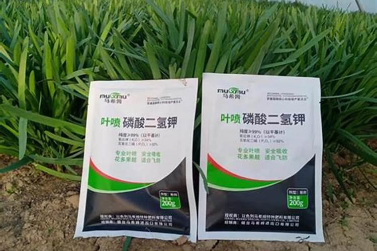 太湖无锡段为什么会爆发蓝藻？