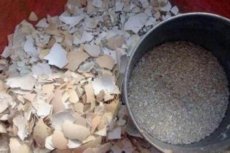 橘子皮可以做肥料吗？