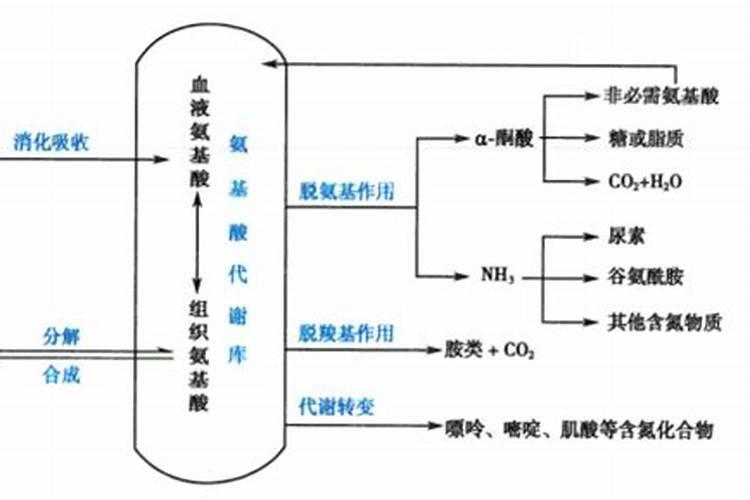 尿素是什么肥料 尿素肥料有几种类型