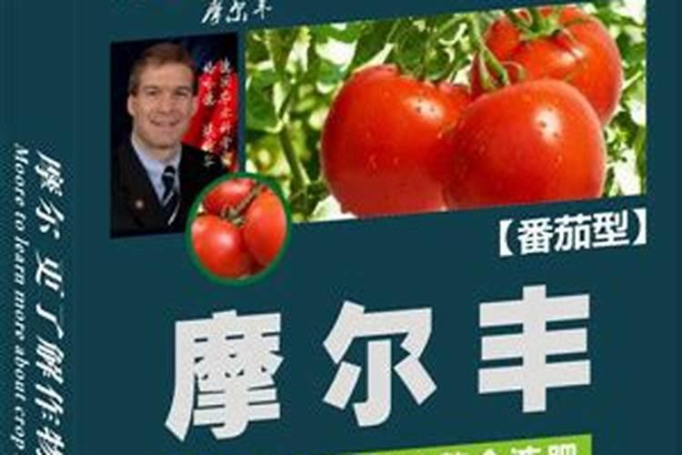 建兰什么时候用磷酸二氢钾催花(叶面施肥好还是浇灌好)