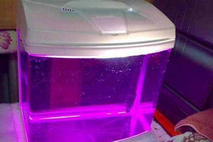 鱼蛋白的做法都有什么呢？