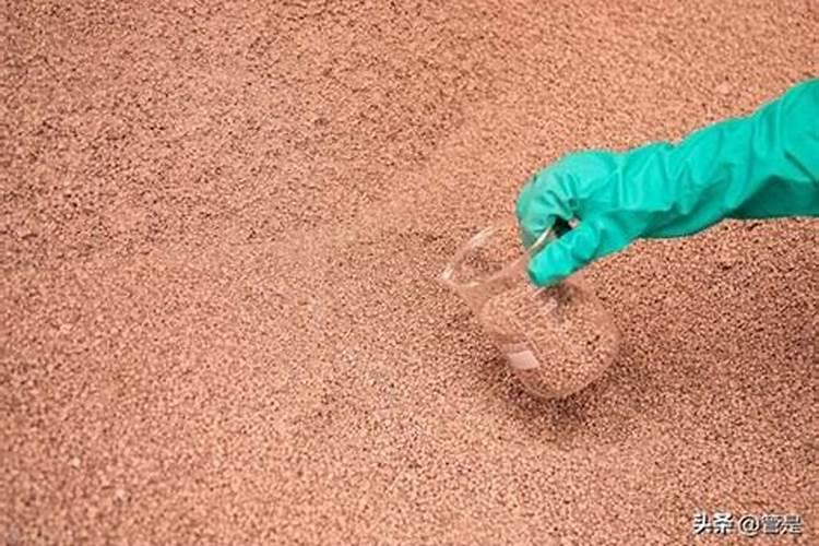 稼镁钾镁硫三合一用火烧不化,放进嘴里也不化是不是假的？