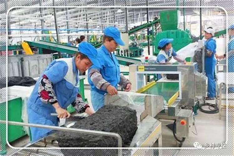 土豆膨大期施什么肥？磷酸二氢钾能助增收吗