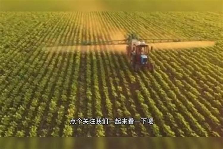 购买有机肥的平台哪个好？