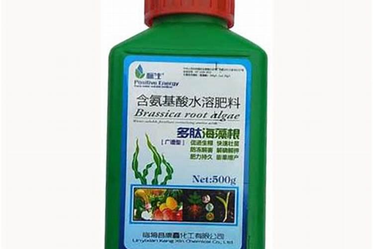 葫芦的施肥方法