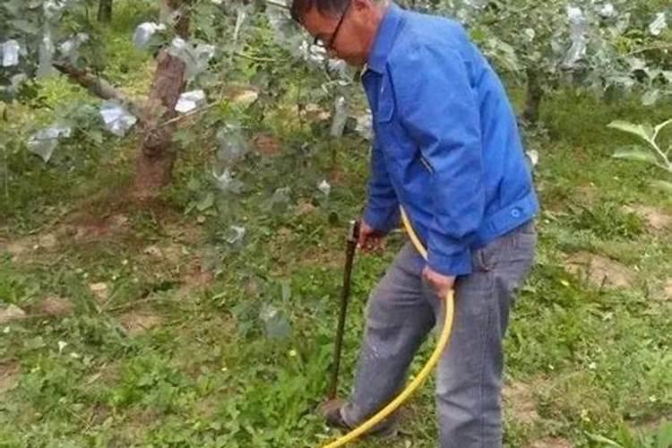 河池化工厂在哪里,河池化工有限公司