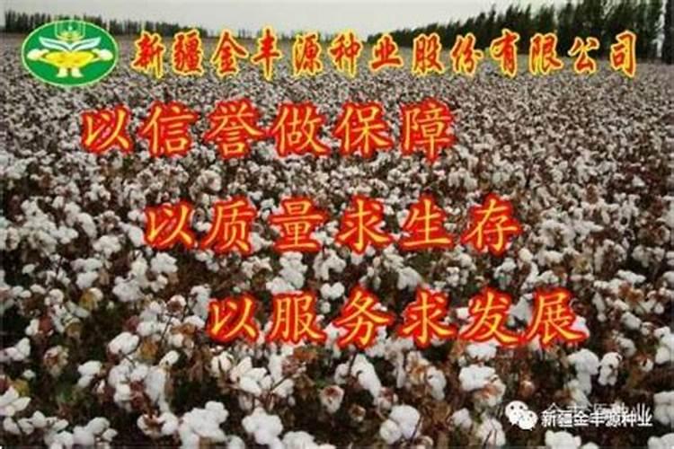 沙漠玫瑰施什么肥比较好