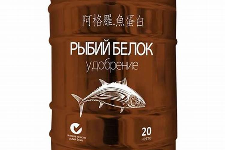 如何选购适合鹦鹉鱼的饲料？