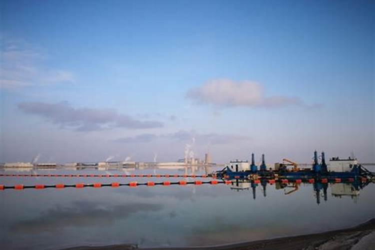 花上营养液好还是花肥好？