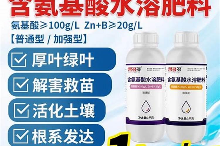 碗莲种水里还是土里