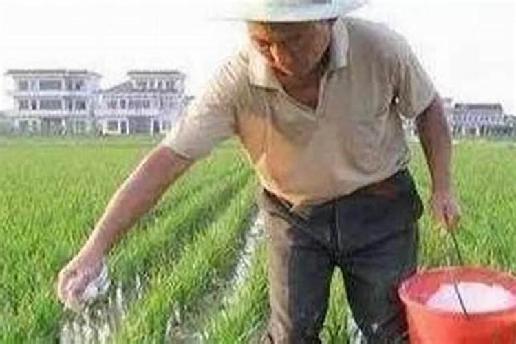 作物种植过程中,磷肥施用过多好不好