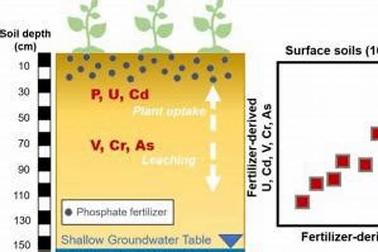 磷肥过量的危害