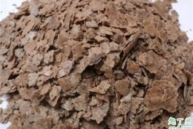 榆树下山桩出芽后能否喷些叶面肥