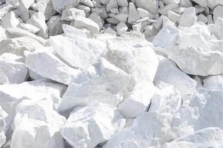 跪求, 玫瑰花得了白灰病怎么治,急啊!!