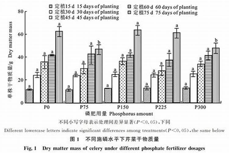 施用过量的话那就是好心办坏事,番茄作物受到肥害怎样快速恢复？