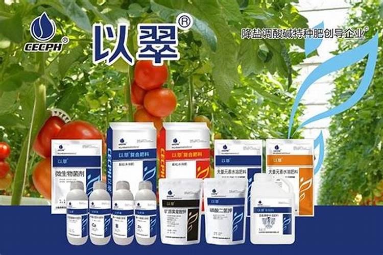 火龙果开花结果时如何施肥会更甜