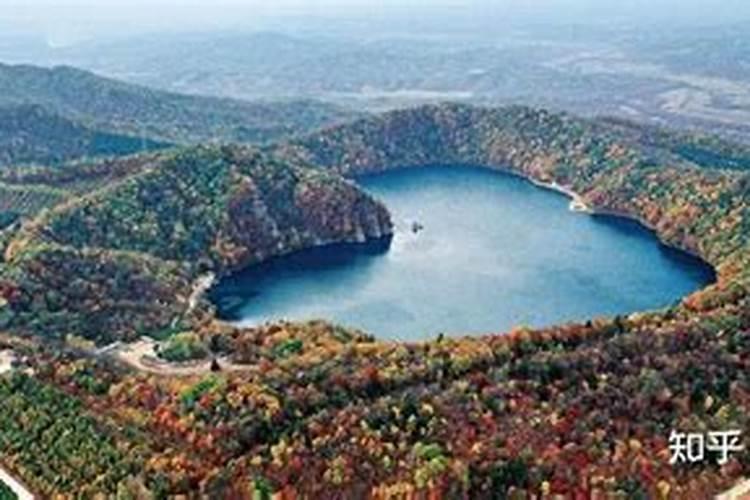 玉米专用肥玉米专用肥的特点