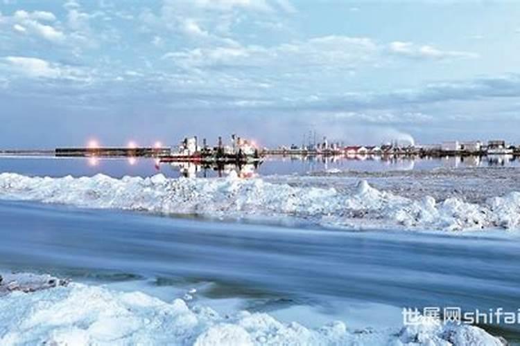 辽宁津大肥业有限公司怎么样？