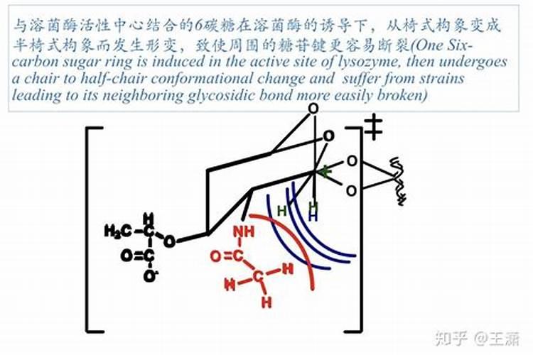 大量元素有哪些