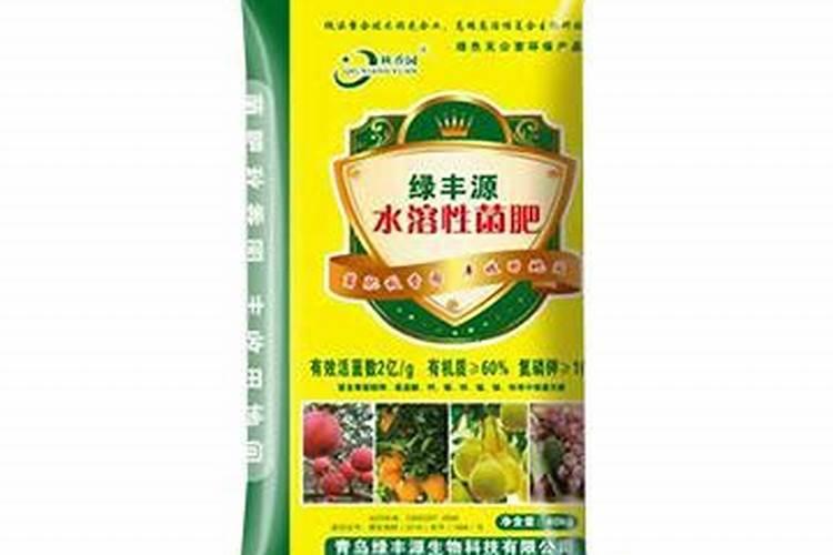 豆角冲什么水溶肥最好