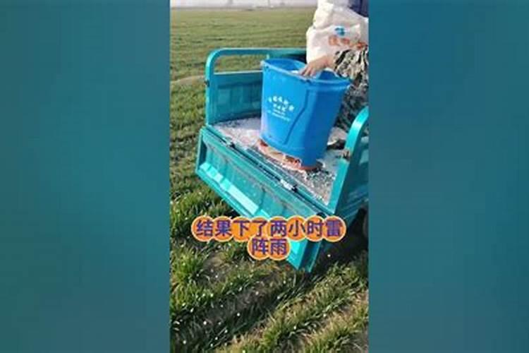 大葱用什么肥料长的快？腐植酸水溶肥助增收