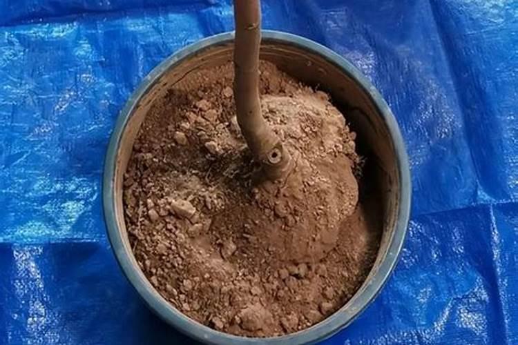 流体硼最佳搭配方法