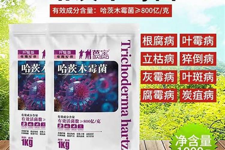 流体硼叶面肥作用