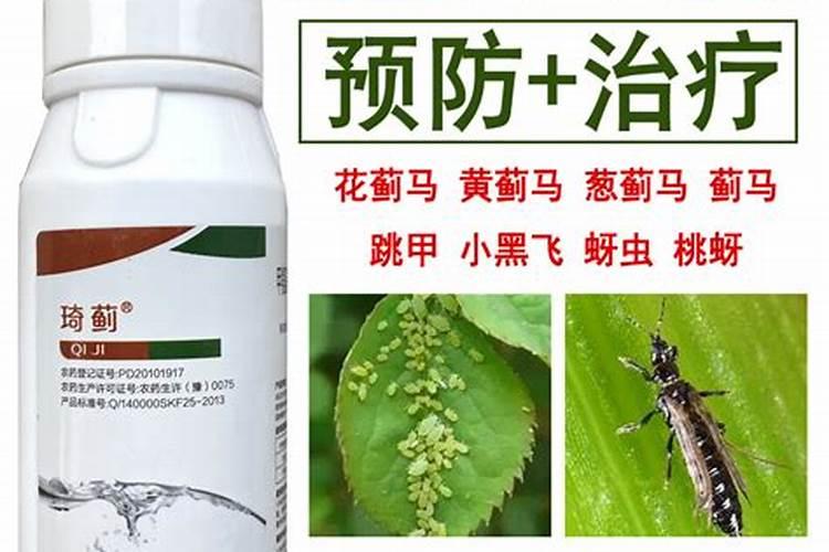 蓟马和螨虫用什么药好一点