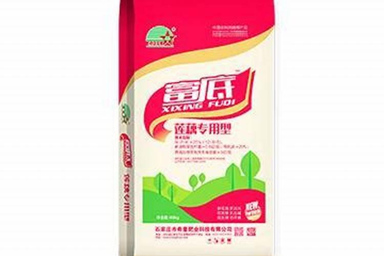 常见的多糖有哪些 他们的提取方法比较