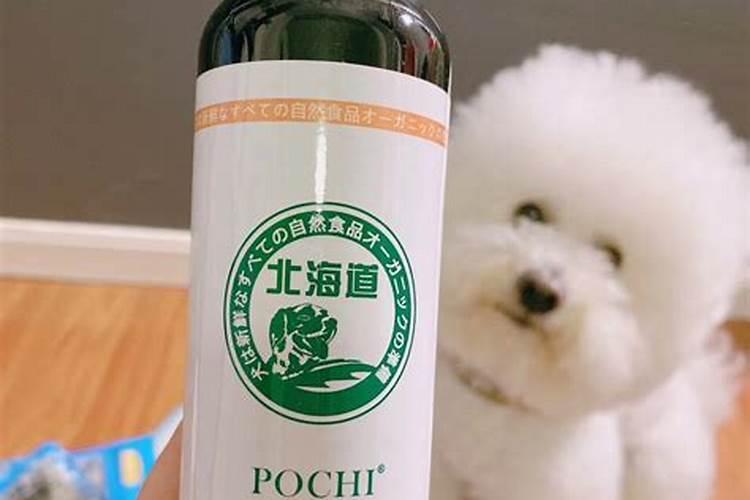 秋刀鱼有营养吗？