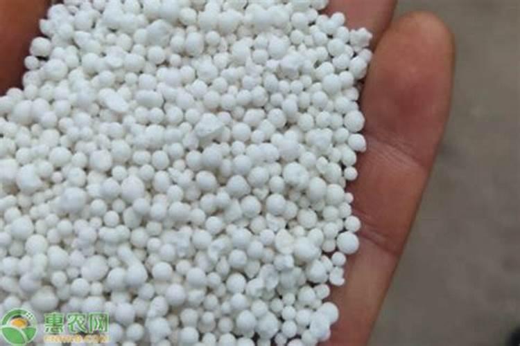 辣椒花芽分化冲什么肥料好