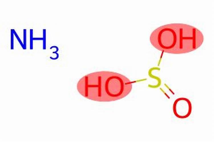 种方瓜最好的方法