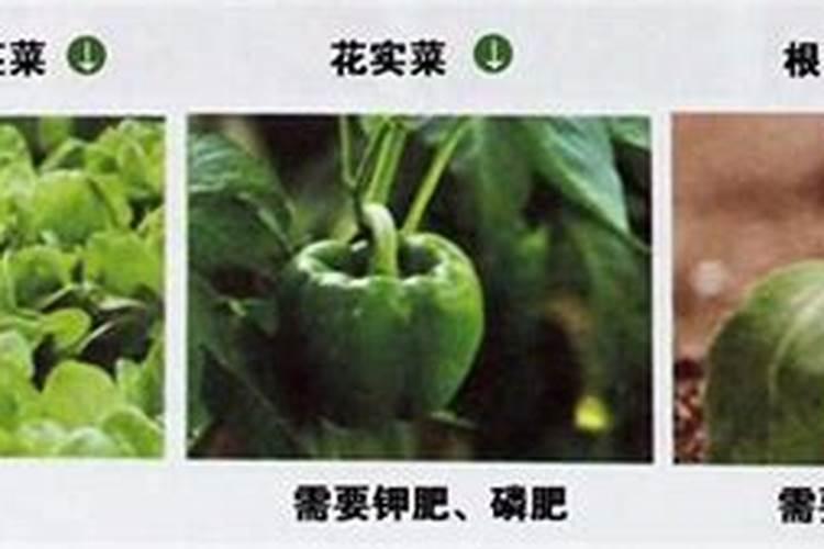 钾肥和氮肥的怎么区分