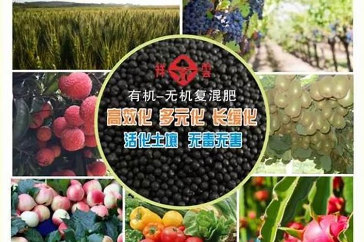 玉米需要什么肥料
