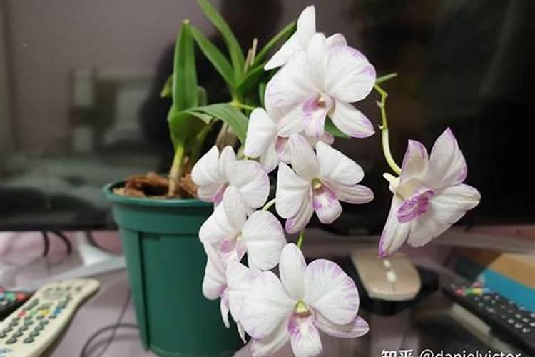 微生物有机碳肥,比微生物肥还好的肥料!值得一看